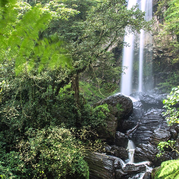 Cascadas Barbas de Carranza